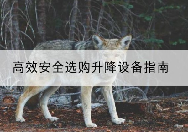 修水升降货梯厂家推荐-*安全选购升降设备指南