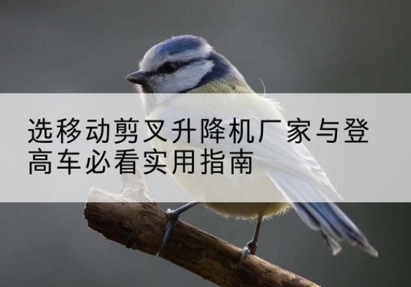 修水电动升降机厂家-选移动剪叉升降机厂家与登高车必看实用指南