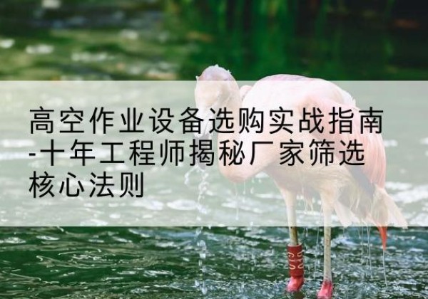 修水剪叉式升降机厂家-高空作业设备选购实战指南-十年工程师揭秘厂家筛选核心法则