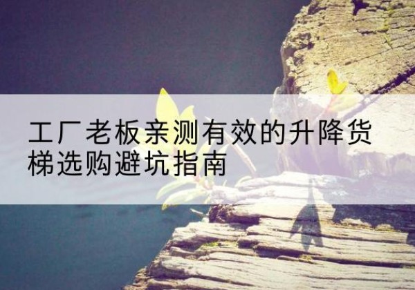 修水升降货梯怎么选-工厂老板亲测有效的升降货梯选购避坑指南